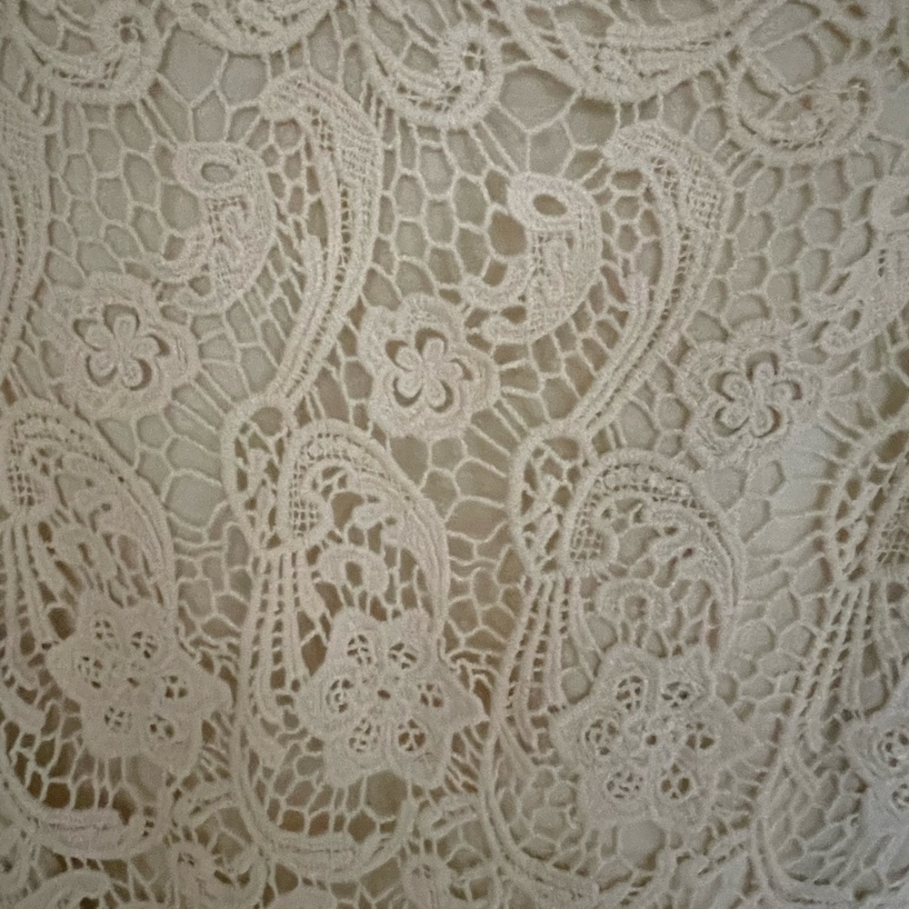Joie Delicate Lace Overlay Dress in Cream